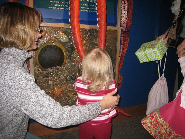 Seattle Aquarium 17.JPG